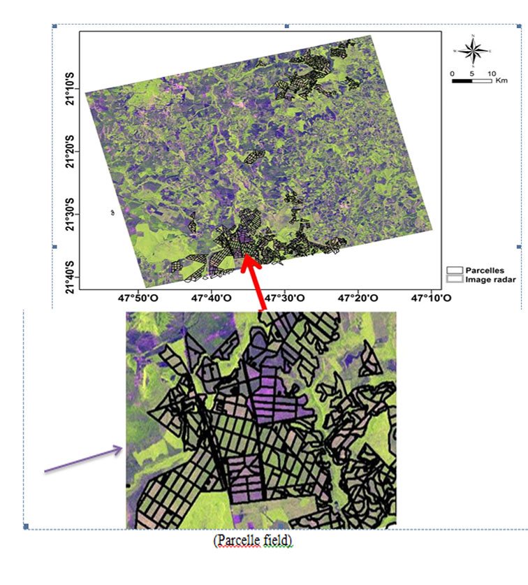 - Detection of Eucalyptus plantations cuts at  amazon district - Brazil  by using satellite Landsat 8 and  radar images ALOS/PALSAR: 
 - The project has been aimed to study the potential of optical and radar data (Landsat and ALOS/PALSAR) for monitoring clear-cuts of eucalyptus plantations in Brazil.